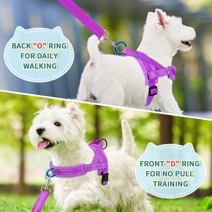 Lukovee Small Dog Harness and Leash Set, No Pull Soft Padded Vest | Both Neck & Chest Adjustable, Reflective, Puppy Harness with 4ft Lightweight Anti-Twist Dog Leash for Small Dogs (Purple, XS) - Image 7