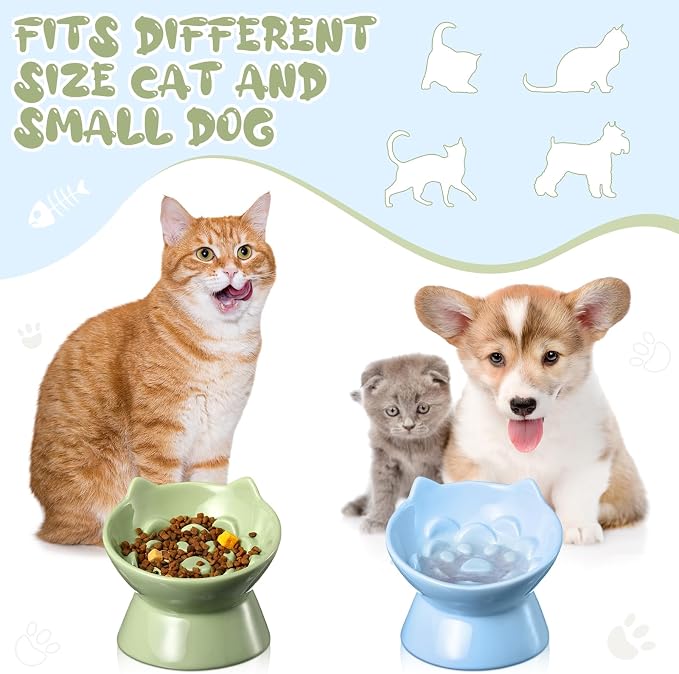 Funnymoom 2 Pcs Ceramic Raised Slow Feeder Cat Bowl, 5.91inch Elevated Cat Slow Feeder Bowl Tilted Anti Vomiting for Dry Wet Food and Water Easy to Clean High Edge(Green, Blue) - Image 5