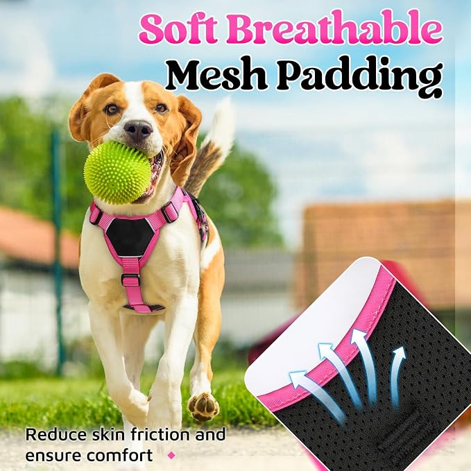 rabbitgoo Escape Proof Dog Harness for Small, No Pull with Lift Handle | No Escape, Full Soft Padded, Reflective Adjustable Vest, Leash Clip for Walking Hiking Training, Rose & Black, Small - Image 7
