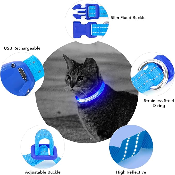 Light up Dog Collar for Small Dog,Vizpet XS Adjustable Size Nylon Collar USB Rechargeable Bright Safety Pet Collar for Cats Dogs (Blue) - Image 3