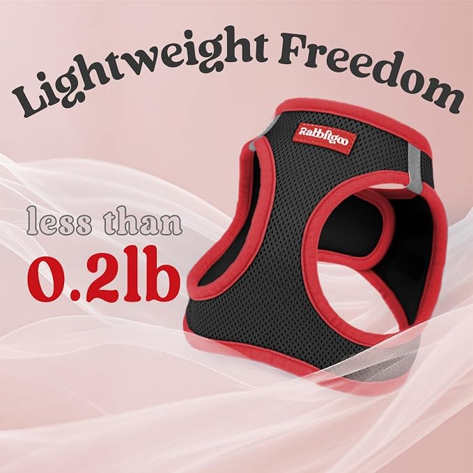 rabbitgoo Dog Harness Small Sized and Leash Set, Step in Soft Vest | Breathable Mesh, Easy Wear with Hook & Loop, Light and Reflective for Walking, Multi-colored, Black & Red, XS - Image 6