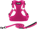 Best Pet Supplies Voyager Adjustable Step-in Flex Breathable Mesh Dog Harness for Small Medium Large Dogs Leash Set (Fuchsia), XL by BestPetSuppliesLLC