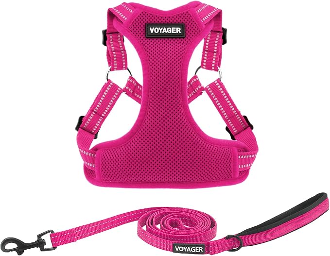 Best Pet Supplies Voyager Adjustable Step-in Flex Breathable Mesh Dog Harness for Small Medium Large Dogs Leash Set (Fuchsia), XL by BestPetSuppliesLLC