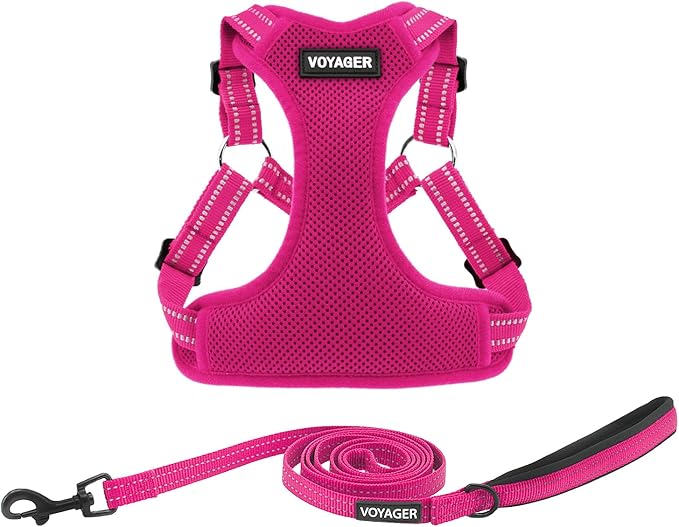 Best Pet Supplies Voyager Adjustable Step-in Flex Breathable Mesh Dog Harness for Small Medium Large Dogs Leash Set (Fuchsia), XS by BestPetSuppliesLLC