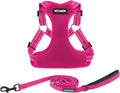 Best Pet Supplies Voyager Adjustable Step-in Flex Breathable Mesh Dog Harness for Small Medium Large Dogs Leash Set (Fuchsia), XS by BestPetSuppliesLLC