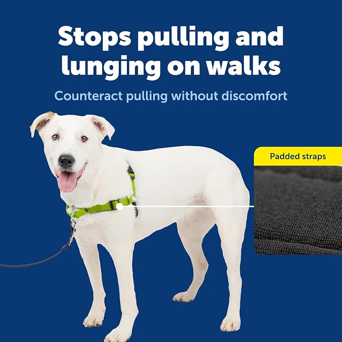 PetSafe Deluxe Easy Walk No Pull Dog Harness, Apple Green, Medium/Large | Padded Neoprene Straps, Reflective Strips for Night Safety, Martingale Loop Curbs Pulling from the Chest, Not the Throat - Image 4