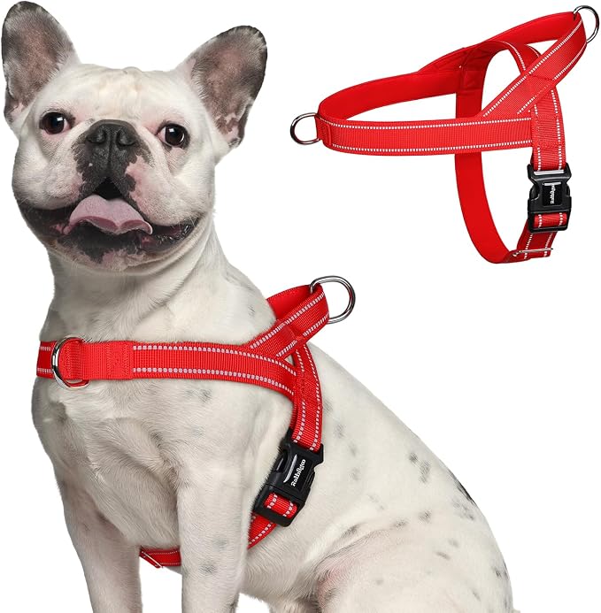 rabbitgoo Dog Harness No Pull, Quick Fit for Medium Sized Dog, Reflective | Chest Adjustable Pet Vest with Soft Padded Handle, No Choke Escape Proof for Walking Training, Red M by rabbitgoo