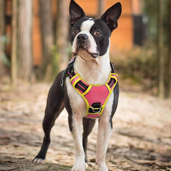 rabbitgoo Dog Harness Small Sized, No Pull 3 Buckles Easy On & Off | Soft Padded, Walking with Control Handle, Adjustable and Reflective, Pink & Yellow, Small - Image 8
