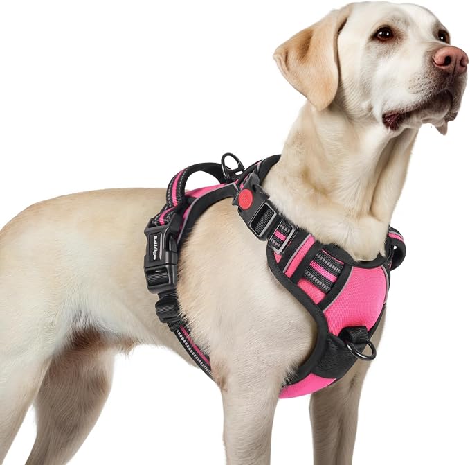 rabbitgoo Dog Harness for Large, Updated Easy On & Off with 3 Buckles | No Pull No Choke, Walking with 2 Clips and Handle, Adjustable Soft Reflective, Rose Pink, Large by rabbitgoo