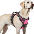 rabbitgoo Dog Harness for Large, Updated Easy On & Off with 3 Buckles | No Pull No Choke, Walking with 2 Clips and Handle, Adjustable Soft Reflective, Rose Pink, Large by rabbitgoo