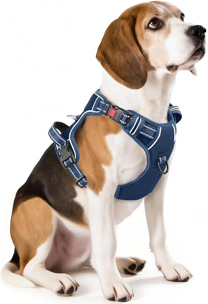 Timos Dog Harness Medium Sized, Quick Release 3 Buckles, Royal Blue, M | Reflective No Pull No Choke, Easy On & Off, Adjustable Soft Padded, Front & Back 2 Clips and Control Handle for Walking by Timos