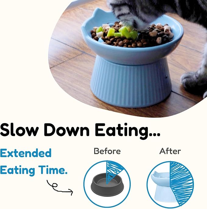 Unbreakable Raised Slow Feeder Bowl for Cats and Small Dogs, Elevated Cat Bowls, Detachable Slow Feede Bowl, Heavy Weighted, Non-Slip Feeder, Dry & Wet Food, Whisker Friendly (Blue; 6.2'') - Image 2