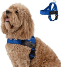 Dog Friendly Co. Dog Harness for Medium Sized Dogs (Classic Blue, Medium) | One Click Buckle, Chafe Resistant Webbing, Adjustable Neck & Chest, and Heavy Duty D-Ring, Sturdy Comfortable and Easy to Use by DogFriendly