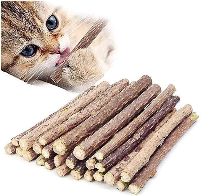 10 PCS Catnip Sticks Organic Cat Chew Toys Natural Plant Matatabi Silvervine Chew Sticks Teeth Cleaning Chew Toy Kitten Kitty by Ueerdand