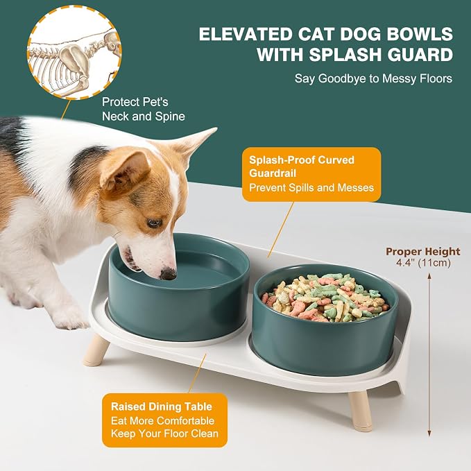Elevated Ceramic Dog Bowl Set - Double Dog Feeding Bowls with Stand Splash Proof - Raised Dishes for Food and Water - Ideal for Small to Medium Dogs - 2 x 720 ml - 11.3 oz - Green - Image 3