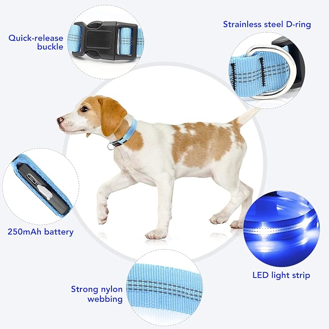 Weesiber Light Up Dog Collars - Rechargeable LED Collar - Reflective Adjustable Dog Lights for Night Walking (Blue, Large) - Image 3