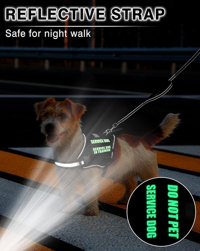 Service Dog Vest Harness and Leash Set+10 Patches for Puppy Small Dogs,Do Not Pet Emotional Support Dog Vest with 2 Soft Padded Handle for Everyday/Training (Black XS) | Adjustable Reflective Do Not Pet Emotional Support Dog Vest with 2 Soft Padded Han... - Image 5
