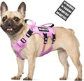 WINSEE Escape Proof Dog Harness with Double Handle+4 Removable Patches | Service Working Molle Harness with Double Handle for Medium Dogs, Tactical Pet Reflective Vest for Walking Hiking Hunting by WINSEE