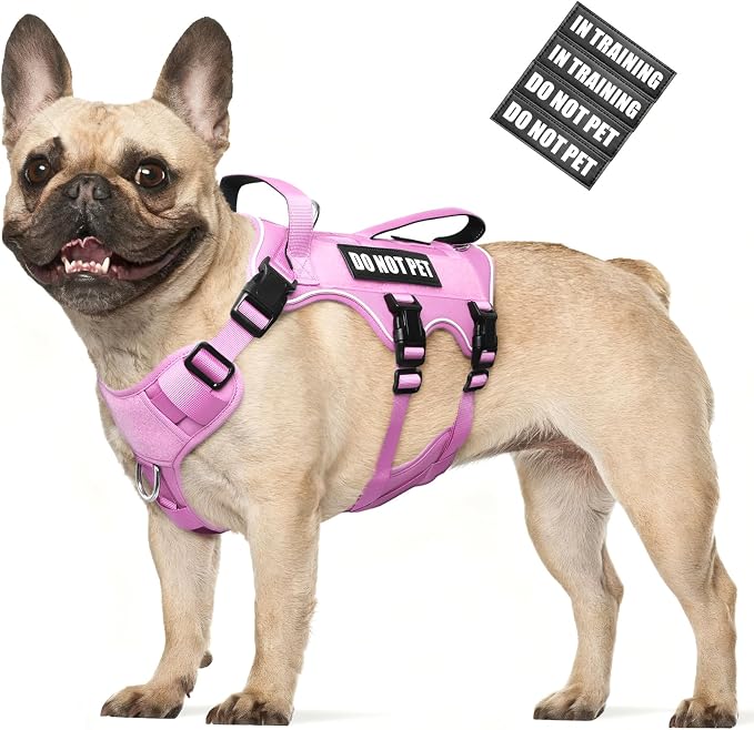 WINSEE Escape Proof Dog Harness with Double Handle+4 Removable Patches | Service Working Molle Harness with Double Handle for Medium Dogs, Tactical Pet Reflective Vest for Walking Hiking Hunting by WINSEE