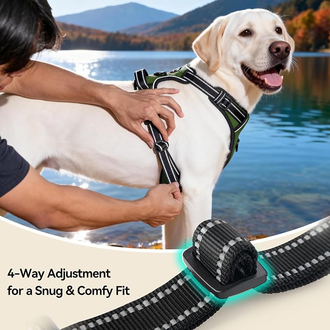 No Pull Dog Harness with Handle Reflective Padded Vest | for Small Medium Large Dogs, Adjustable Puppy Harnesses with Front & Back Clip Easy Walking (XL, Misty Green) - Image 7