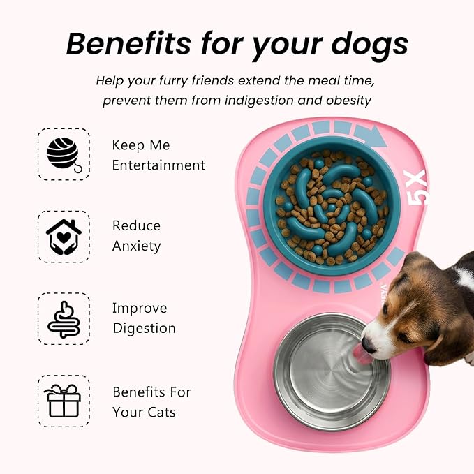 YINEYA 3 in 1 Slow Feeder Dog Bowls,Dog Water Bowl,Cat and Dog Food Bowl | Stainless Steel Dog Bowls with Non-Spill Dog Bowl Mat, Anti-Choking Puppy Bowls, Easy Clean for Large Medium Small Dogs Cats - Image 3