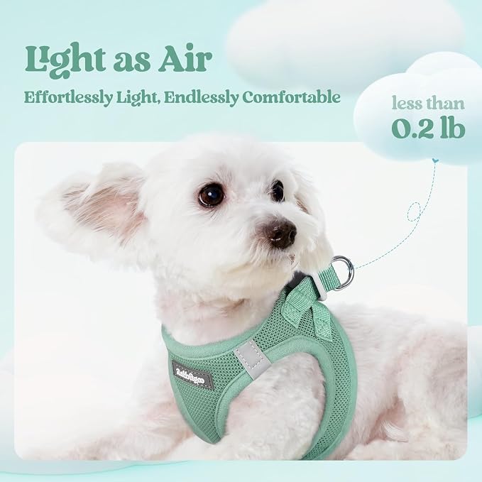 rabbitgoo Dog Harness Small Sized and Leash Set, Step-in Puppy Pet Vest | Light, Soft, Breathable Air Mesh, Easy on and Remove with Hook & Loop, Secure Reflective for Walking, Moss Green S - Image 3
