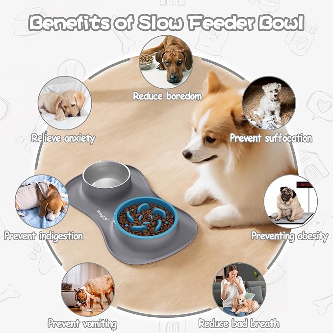 MateeyLife Dog Food and Water Bowl Set 3 in 1, Slow Feeder Dog Bowls & Stainless Steel Water Bowl with Non-Spill Silicone Mat, Cat and Puppy Bowls Pet Dishes for Small Medium Large Breed Anti-Choking - Image 3