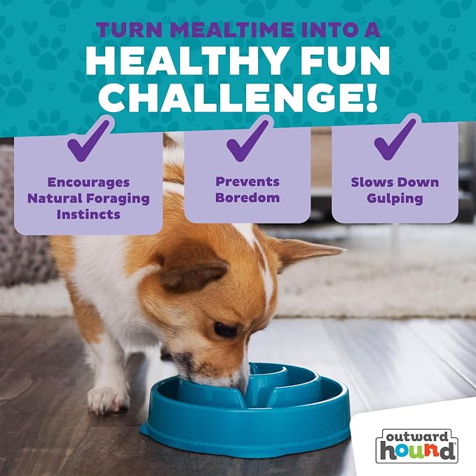 Outward Hound Fun Feeder Slo Bowl – Medium 2‑Cup Capacity,Slow Feeding,Small to Medium Dogs & Cats,Non-Slip,Turquoise,Drop Pattern,(Pack of 12) - Image 7