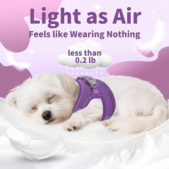 AIITLE Dog Harness and Leash Set, Step-in Puppy Pet Vest, Pure Purple XXXS | Light, Soft, Breathable Air Mesh, Escape-Proof, Easy on and Remove with Hook & Loop, Secure Reflective for Walking - Image 7