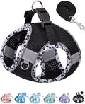 Petank Dog Harness for Small Medium Dogs No Pull, Puppy Harness and Leash Set,Step in Dog Harness for Walking, Running, Training, Small Dog Vest(Black, XXS) by Petank