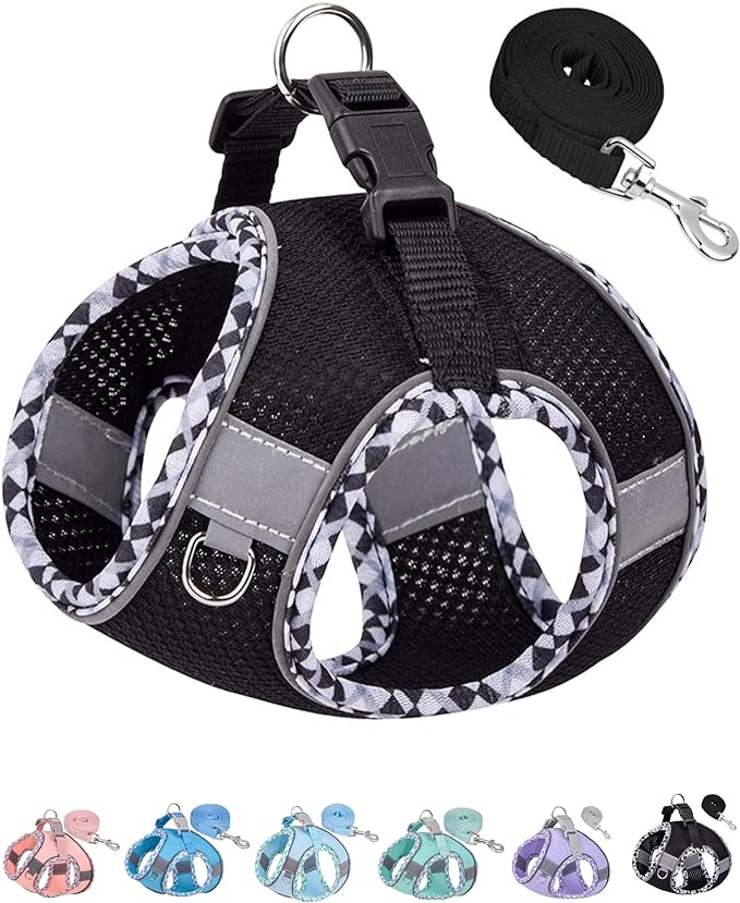 Petank Dog Harness for Small Medium Dogs No Pull, Puppy Harness and Leash Set, Step in Dog Harness for Walking, Running, Training(Black, S) by Petank