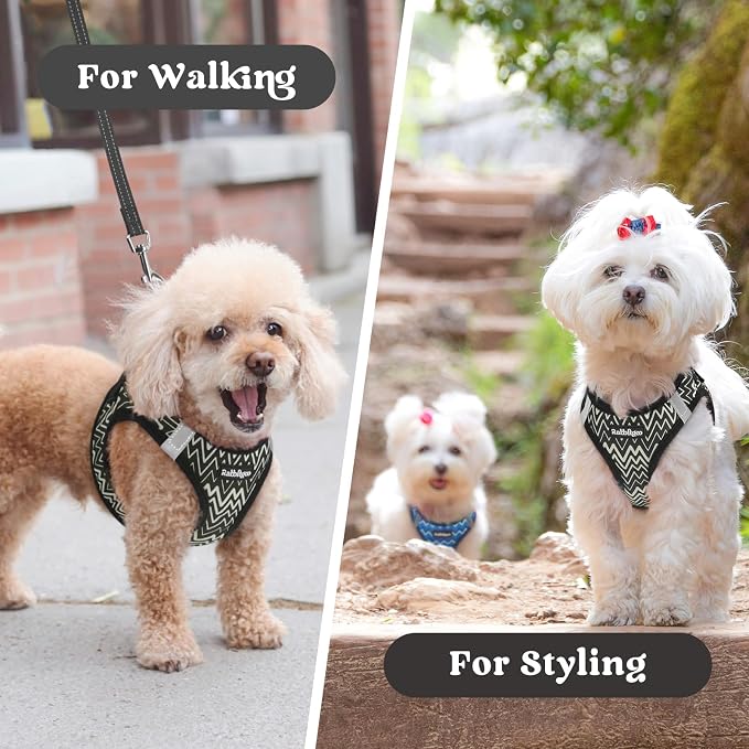 rabbitgoo Step-in Small Dog Harness, Puppy Vest for Small Medium Sized Pet | Easy Put on and off, Lightweight, Soft, Breathable Quick-Dry Air Mesh for Comfortable Secure Walking, Black Zigzag L - Image 9