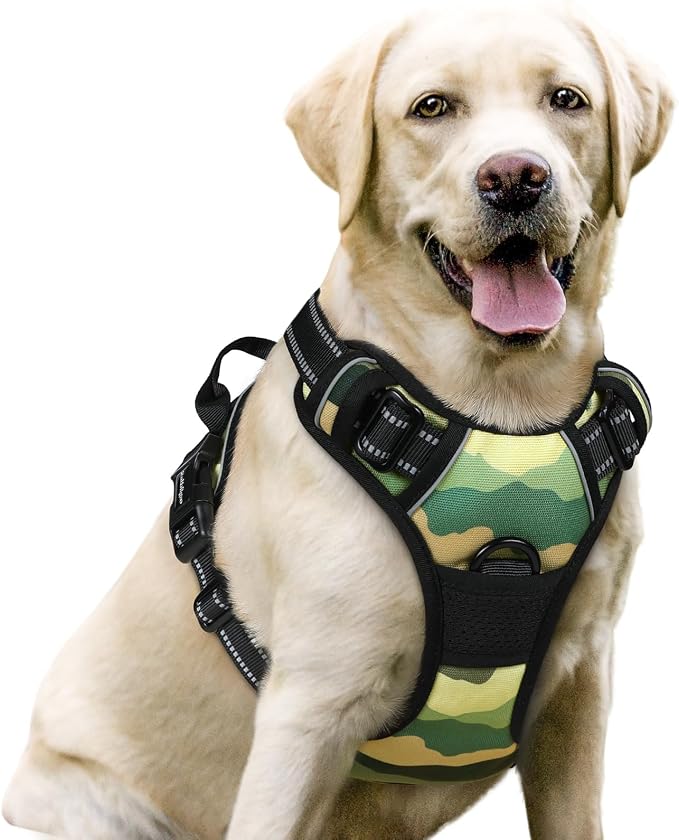 rabbitgoo Dog Harness, No Pull for Large Dogs with 2 Leash Clips, Pet Vest | No Choke with Handle, Adjustable Soft Padded, Reflective, Easy Control for Walking, Green Mountain, Large by rabbitgoo