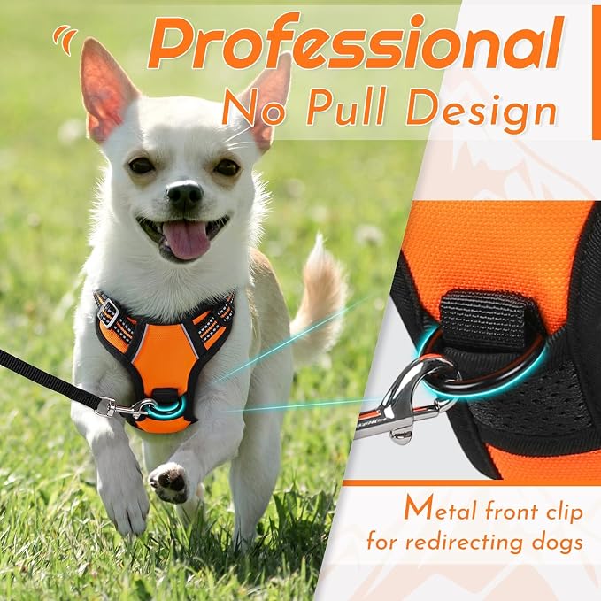Eagloo Dog Harness for Small Dogs, No Pull Pet Vest with 2 Leash Clips | No Choke with Handle, Adjustable Comfort Fit, Reflective Strips, Easy Walking Control, Orange, X-Small - Image 3