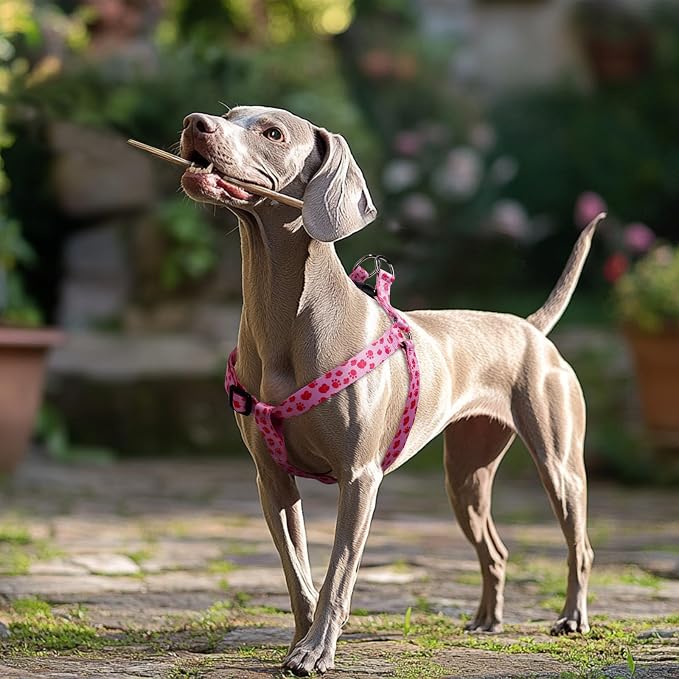 Dog Harness Leash Set Adjustable Heavy Duty No Pull Halter Harnesses for Small Medium Large Breed Dogs Back Clip Anti-Twist Perfect for Walking - Image 2