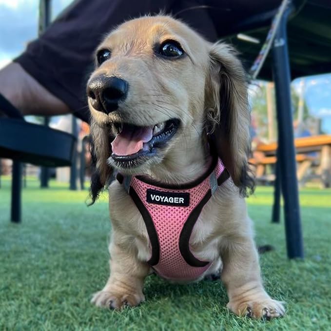 Best Pet Supplies Voyager Step-in Air All Weather Mesh Harness and Reflective Dog 5ft Leash Combo with Neoprene Handle, for Small, Medium and Large Breed Puppies - Pink Base, Medium - Image 8