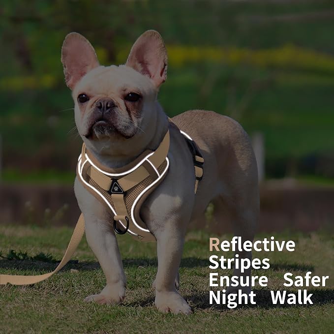 Dog Harness Small Sized Dog Pet Vest with Leash Set Camel M | Adjustable Puppy Vest Harness, No Choke No Pull, Soft Padded, Step-in Dog Vest, Reflective Cat Harness, Breathable Air Mesh - Image 6