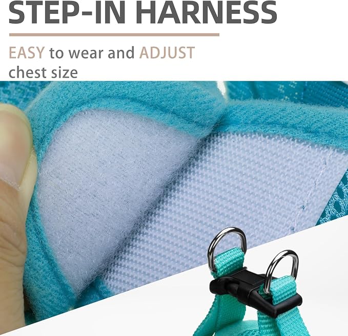 PUPTECK Dog Harness, Collar and Leash Set No Pull for Small Medium Sized | Soft Mesh Puppy Step-in Escape Proof Reflective No Choke Pet Cat Adjustable Walking Vest - Image 3