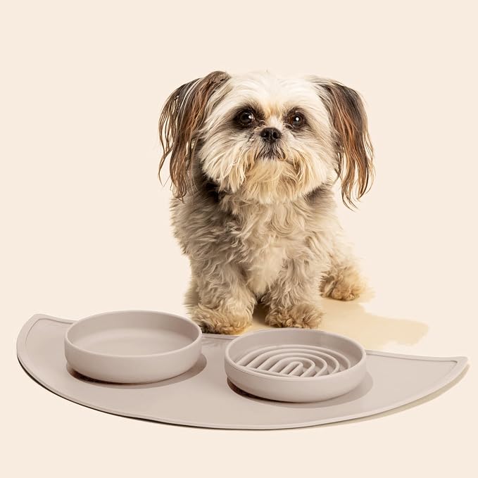 Should We Go? Slow Feeder Dog Bowls - Small Size Silicone Slow Eating Dog Bowl for Puppies & Dogs with Suction Cup -Dishwasher-Safe, Lick Mat Design, Reduces Gulping, for All Breeds, 6”x1.25”- Tan - Image 2