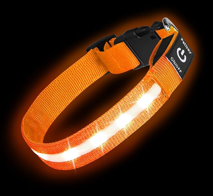 Super Bright LED Dog Collar, Waterproof Light up Collars(Orange, Large) | Lighted Dog Collar with Adjustable Fit, Soft Nylon Comfort, USB-C Rechargeable, Glow in the Dark Visibility for Night Walks by PetIsay