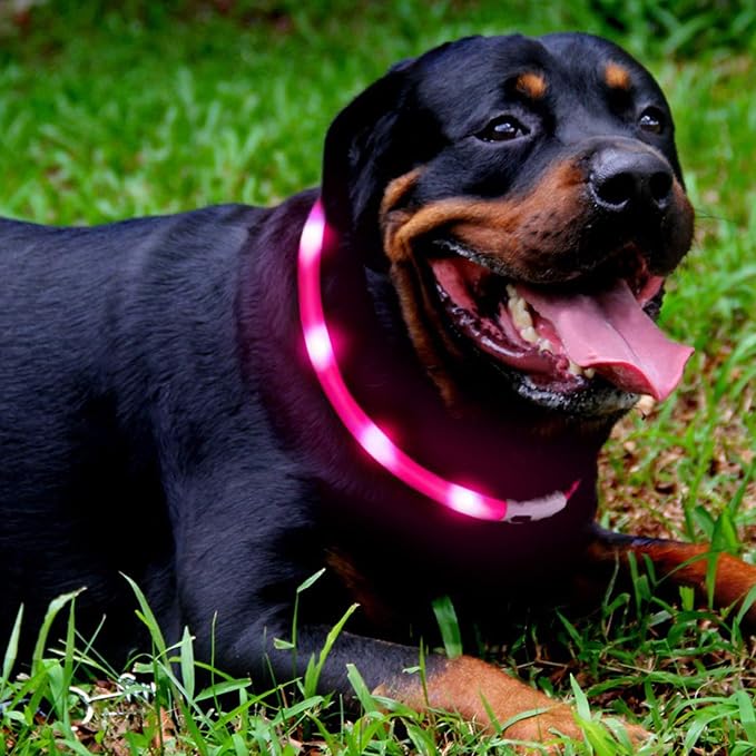 LED Dog Collar,USB Rechargeable Glowing Dog Collars, Light Up Collar Improved Pet Safety &Visibility at Night, 3 Flashing Modes,Water-Resistant LED Lighted Fits for Small Medium Large Dogs - Image 2