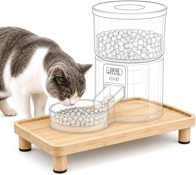 Cat Food Stand, Elevated Cat Feeding Station for Bowls & Feeders | Raised Rim Bowl Support, For Automatic Feeders & Bowls, Non-Slip Feet, Tool-Free Assembly, 15.8 x 9.8 in Wood Platform by Midollarle