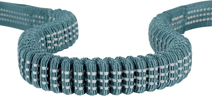 Carhartt Shock Absorbing Dog Leash Harbor Teal | Pet Durable Nylon Webbing, for Dogs, Reflective Stitching for Visibility - Image 4