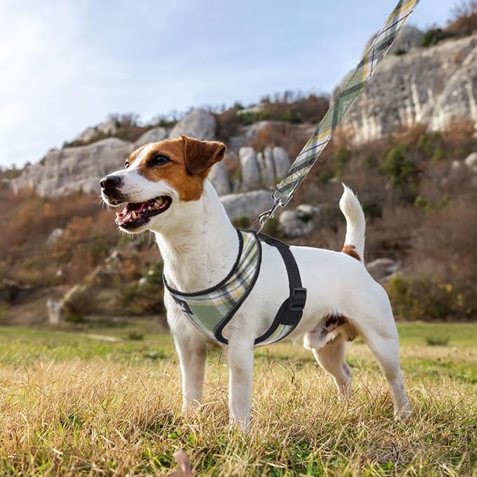 PUPTECK Small Dog Harness and Leash Set No Pull for XS XXS Sized Dogs Puppy | Escape Proof No Choke Pet Cat Adjustable Soft Padded Walking Vest - Image 6