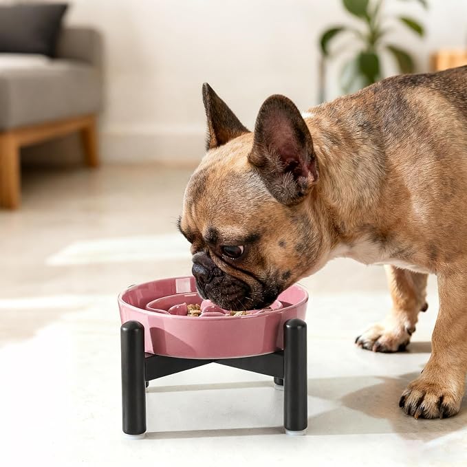 Elevated Slow Feeder Dog Bowl, 0.8 Cups Ceramic Raised Slow Feeder with Stainless Stand, 6.3 Inch Wide Lifted Dog Bowl for Small Breeds to Control Eating Speed, Pink - Image 7