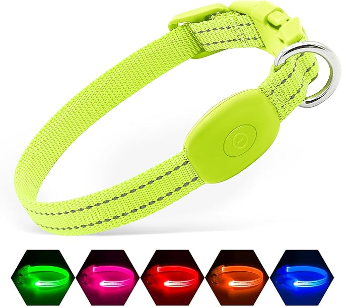 Illumifun LED Dog Collar, USB Rechargeable Light Up Dog Collar, Waterproof Nylon Glowing Safety Collar for Small Dogs Cats (Green, X-Small) by Illumifun