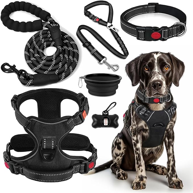 LOBEVE No Pull Dog Harness, Collar & Leash Set with Travel Accessories | Includes Dog Seat Belt, Collapsible Bowls & Poop Bag Dispenser. Ideal for Training, Walking, Hiking. Fits Small to Large Dogs by Lovebegetslove