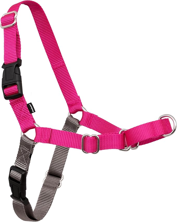PetSafe Easy Walk Harness, No Pull Dog Harness, Raspberry, Medium/Large | Patented Martingale Loop Gives Gradual Shoulder Pressure to Stop Pulling, Front-Chest Leash Clip Prevents Gagging by PetSafe