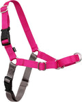 PetSafe Easy Walk Harness, No Pull Dog Harness, Raspberry, Medium/Large | Patented Martingale Loop Gives Gradual Shoulder Pressure to Stop Pulling, Front-Chest Leash Clip Prevents Gagging by PetSafe