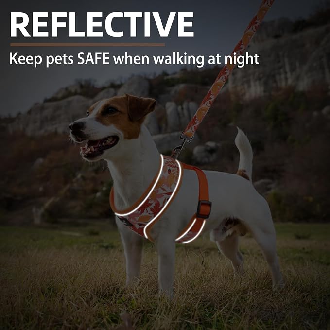 PUPTECK Small Dog Harness and Leash Set No Pull for XS XXS Sized Dogs Puppy | Escape Proof No Choke Pet Cat Adjustable Soft Padded Walking Vest - Image 6